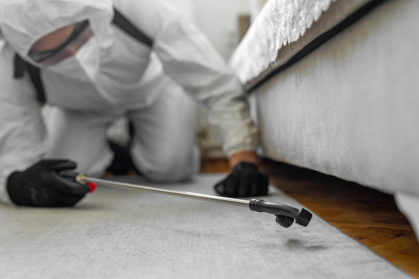 Professional Bed Bug Control technician working in Durand, MI